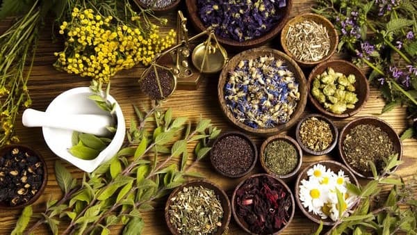 Top 13 loại thảo mộc chăm sóc tóc tốt nhất