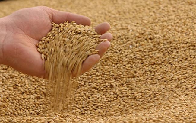 Bột Cám Gạo tại Labcos được sản xuất bằng phương pháp sấy tiệt trùng với thành phần bột Cám Gạo 100% thiên nhiên,