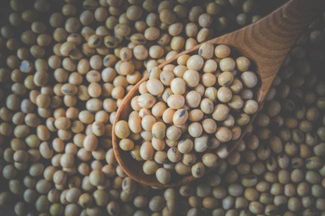 Hạt đậu nành sấy giòn nguyên liệu giúp da chắc khỏe chống lão hóa