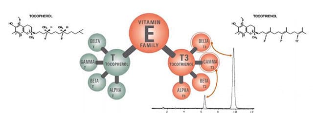 Các dạng tồn tại khác nhau của Vitamin E