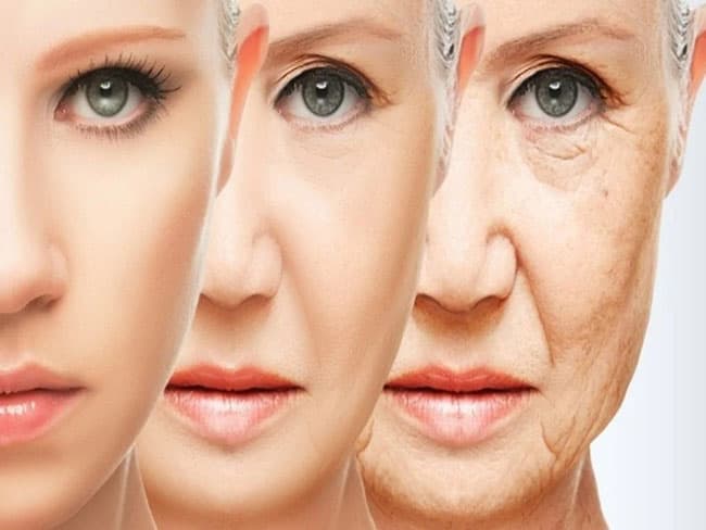 Hoạt động của chất chống oxy hóa dựa trên việc giảm số lượng các gốc tự do thúc đẩy quá trình lão hóa da.
