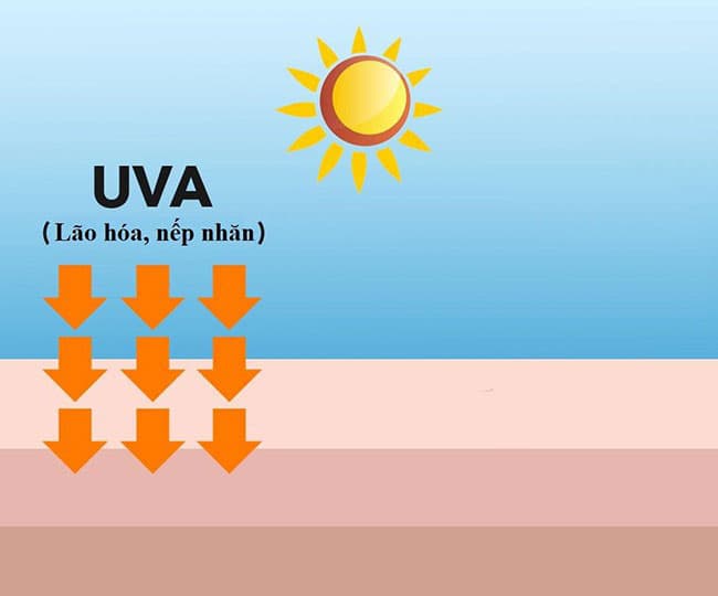 Tia UVA có bước sóng cao hơn nhưng mức năng lượng lại thấp hơn các tia UV khác.