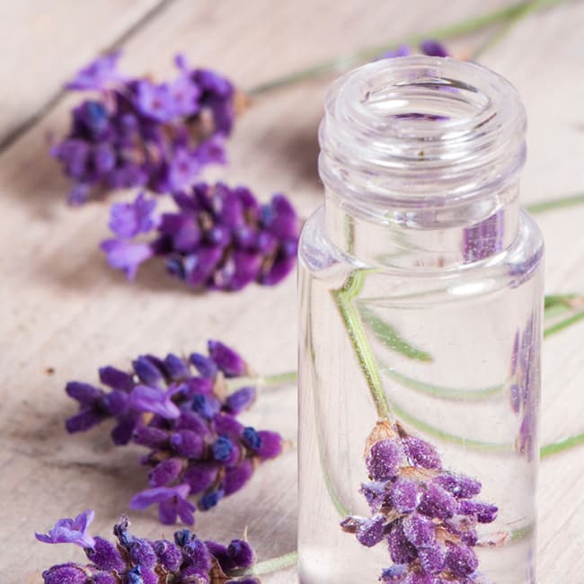 Organic Alcohol-Free Lavender Hydrosol trong mỹ phẩm giúp tái tạo và phục hồi làn da hư tổn.