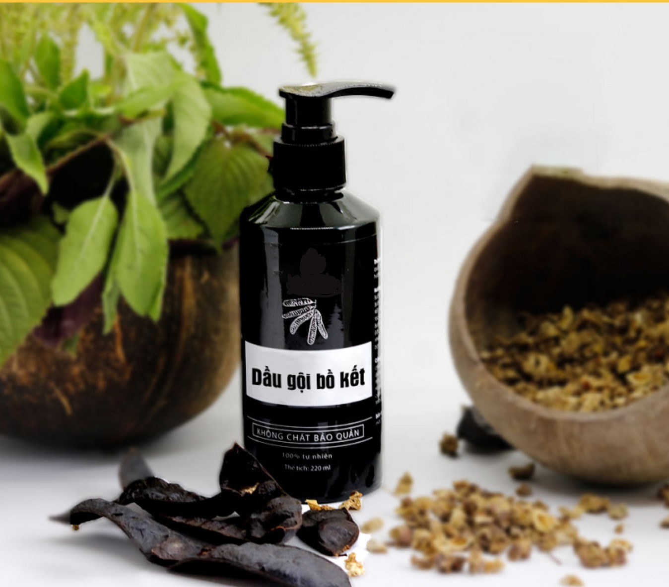 Tìm hiểu công dụng và cách dùng của dầu gội bồ kết