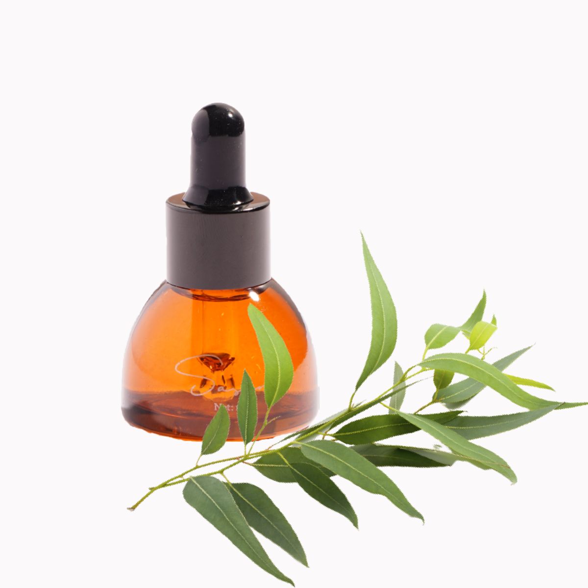 Xịt thơm miệng được thực hiện với những thành phần chủ yếu từ thiên nhiên như bạc hà, quế, cam thảo, tràm...