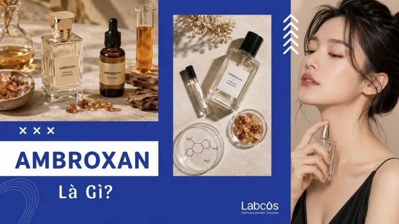 ambroxan-la-gi
