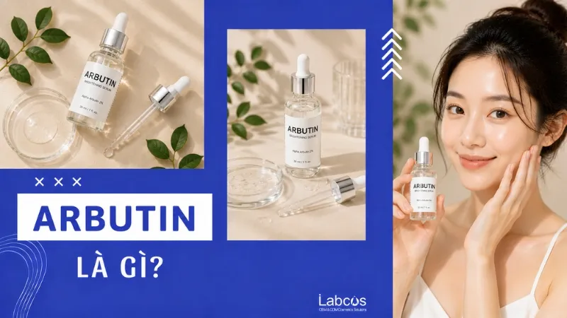 arbutin-la-gi