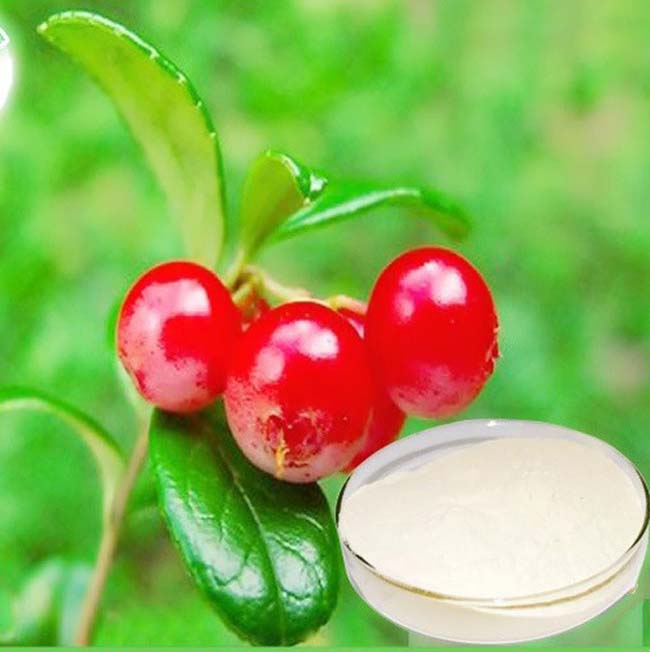 Arbutin là một trong những thành phần trị nám da hiệu quả.