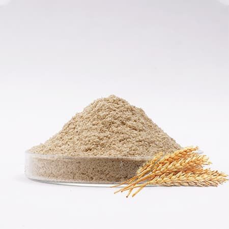 Bột Cám Gạo Labcos