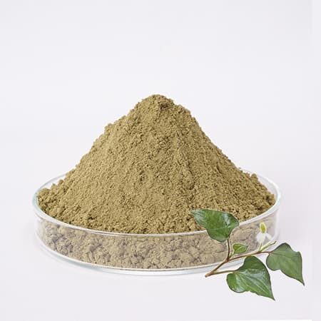 Bột Diếp Cá Labcos