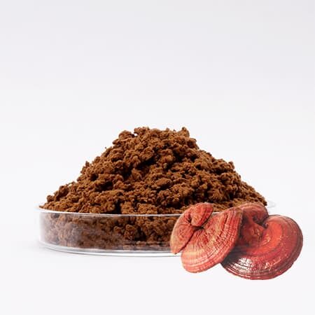 Bột nấm Linh Chi Labcos