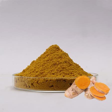 Bột Nghệ Labcos