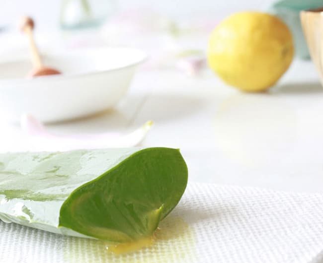 Hỗn hợp làm trắng da Chanh và Nha Đam