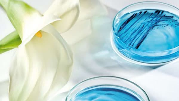 Địa chỉ cung cấp chất bảo quản mỹ phẩm tự nhiên an toàn uy tín
