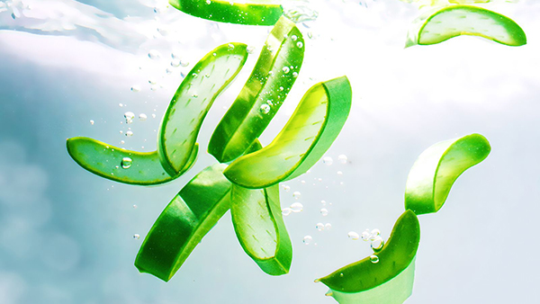 Công dụng tuyệt vời của nước Nha Đam trong mỹ phẩm