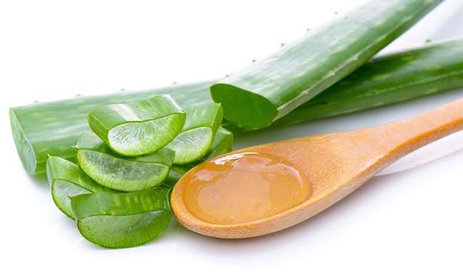 Nha Đam ngày càng được sử dụng phổ biến để trị mụn.