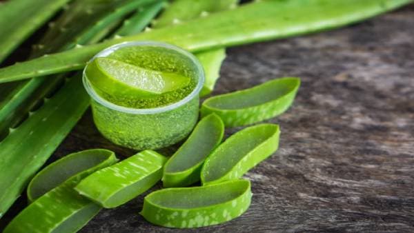 công dụng và cách làm đẹp của gel nha đam