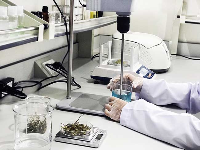 Labcos hỗ trợ xây dựng và phát triển công thức gia công mỹ phẩm cho khách hàng.
