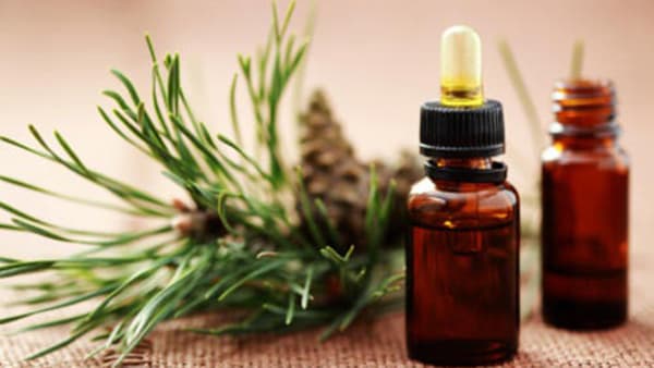 4 công thức đặc biệt của tinh dầu Hương Thảo trong massage và mỹ phẩm