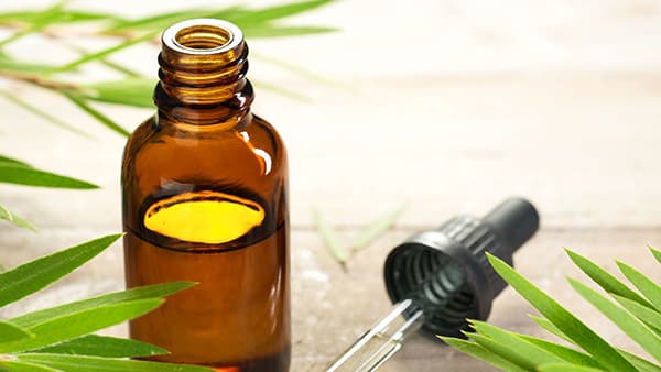 Công dụng khác biệt của tinh dầu Tràm Trà trong massage và mỹ phẩm