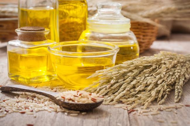 cung cấp dầu cám gạo