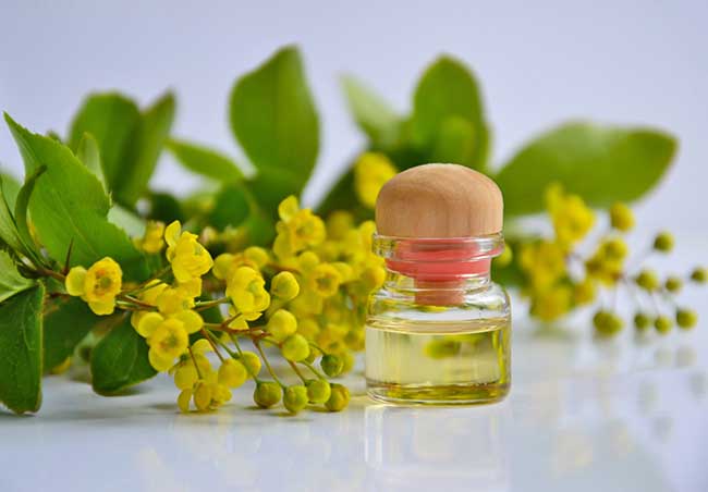 Labcos cung cấp nguyên liệu gia công và sản xuất mỹ phẩm uy tín trên thị trường hiện nay.