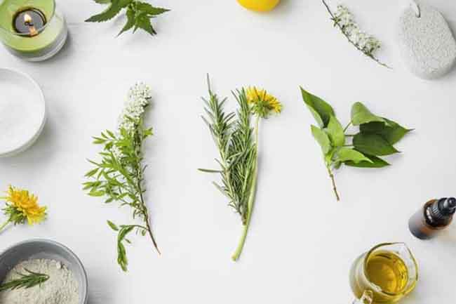 Labcos là đơn vị cung ứng nguồn nguyên liệu mỹ phẩm độc quyền cho spa tại Vĩnh Long