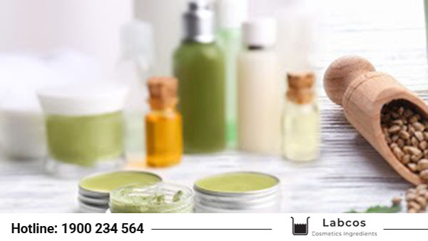 Làm son môi từ dầu dừa và sáp ong