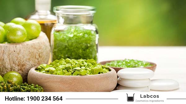 cung cấp nguyên liệu mỹ phẩm hóc môn