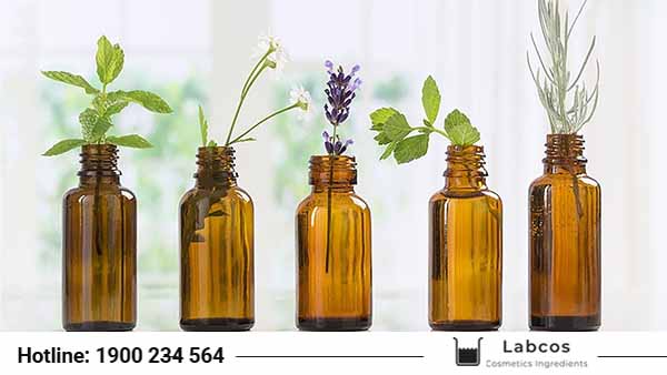 Cung cấp nguyên liệu mỹ phẩm chất lượng tại Tuyên Quang