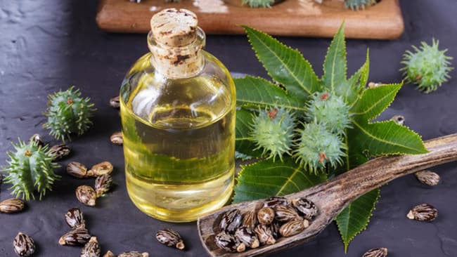 Dầu Thầu Dầu cho làm sáng da - Lợi ích, Công dụng và Biện pháp phòng ngừa