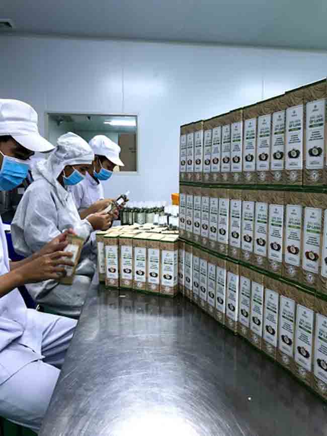 Gia công mỹ phẩm trọn gói, quy trình nhanh chóng và tiết kiệm chi phí.