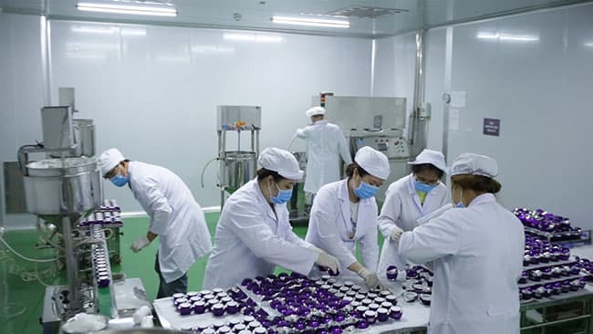 Đội ngũ nhân viên gia công được đào tạo bởi các công ty nước ngoài