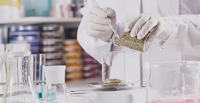 Labcos là công ty cung cấp nguyên liệu mỹ phẩm thiên nhiên sạch và đảm bảo an toàn.