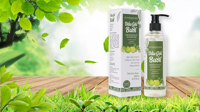 Dầu gội Bưởi thiên nhiên được sản xuất tại Labcos