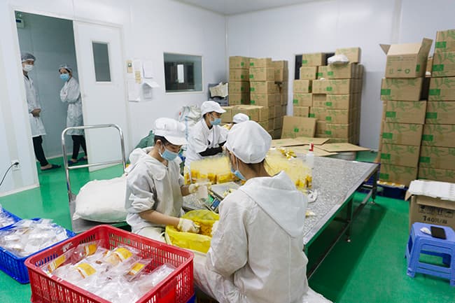 Gia công các loại mỹ phẩm , dầu gội uy tín tại Labcos.