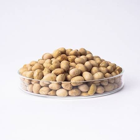 Hạt Đậu Nành Sấy Khô Labcos