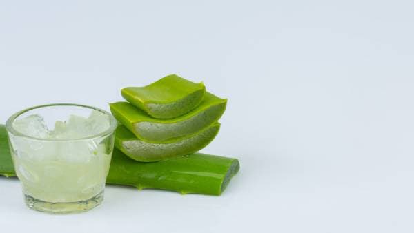 điều trị bỏng, cháy da với gel nha đam