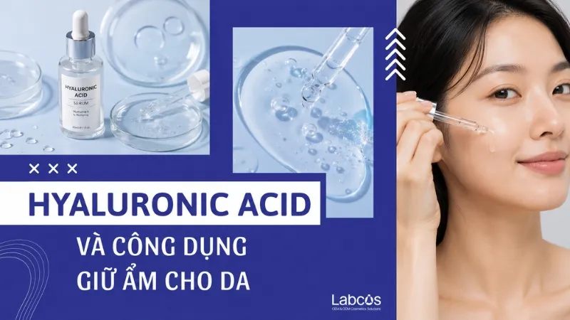 hyaluronic-acid-va-cong-dung-giu-am-cho-da
