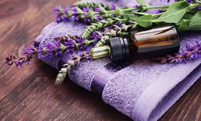 labcos cung cấp tinh dầu oải hương