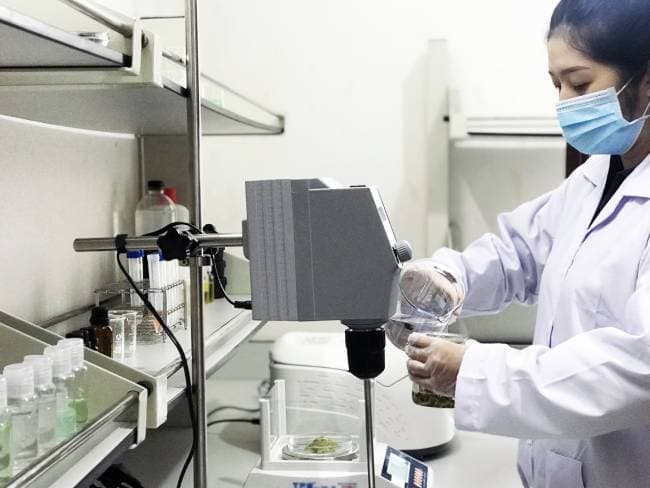 labcos đơn vị gia công mỹ phẩm an toàn uy tín