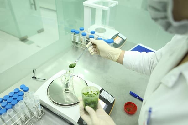 labcos sỡ hữu đội ngũ có chuyên môn có kinh nghiệm nhiều năm 