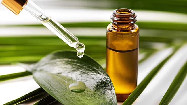 Tinh dầu Tràm Trà hỗ trợ và tăng cường sức khỏe hệ miễn dịch một cách tự nhiên