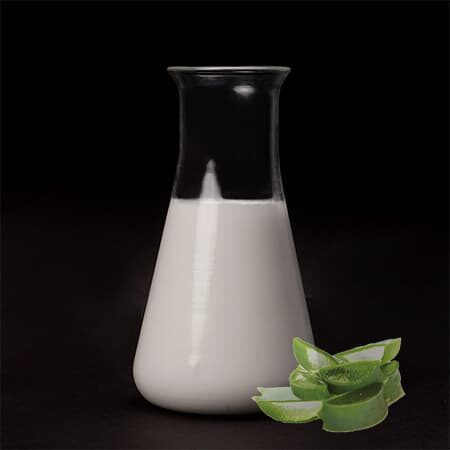 Lotion Nha Đam