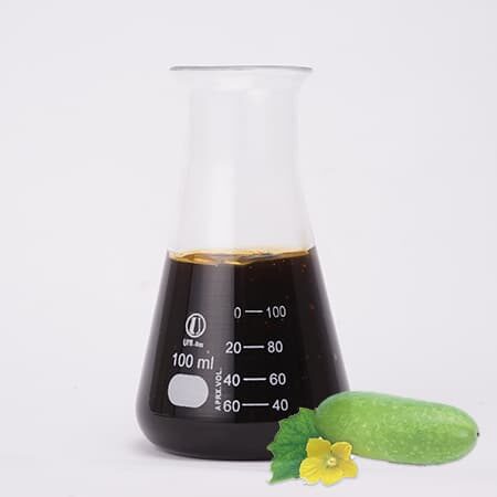 Mặt Nạ Cao Bí Đao Labcos