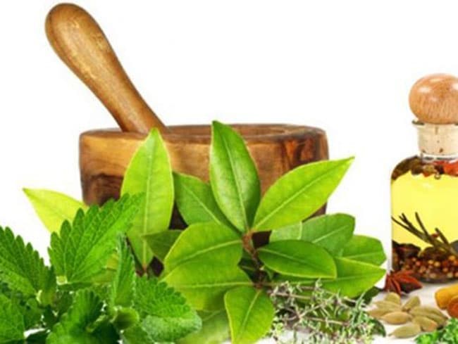 Mỹ phẩm nội địa thường chiết xuất từ thảo dược nên rất tốt cho người dùng