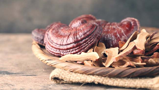 Bột Linh Chi được đánh giá cao hiệu quả trong làm đẹp và trị nám.