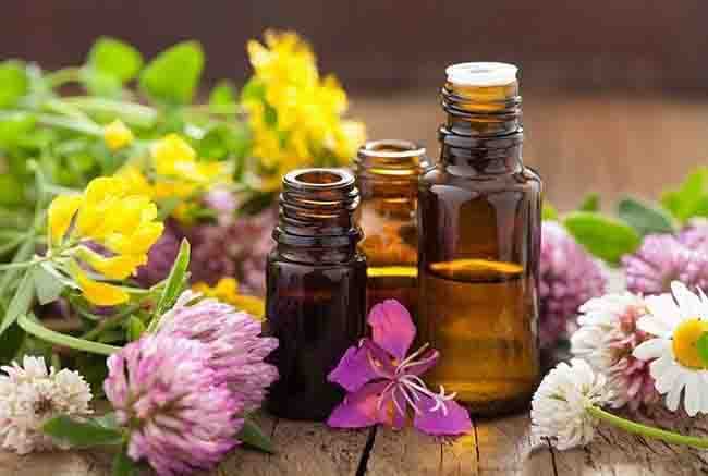 Thị hiếu sử dụng mỹ phẩm sạch ngày càng phát triển