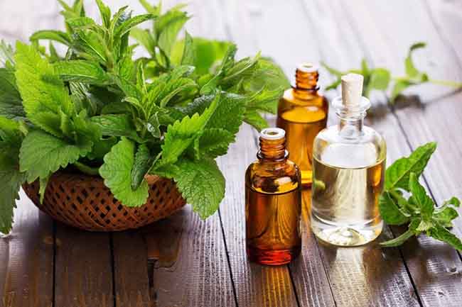 Labcos sở hữu hơn 500 loại nguyên liệu & 300 sản phẩm công thức mỹ phẩm đa dạng.