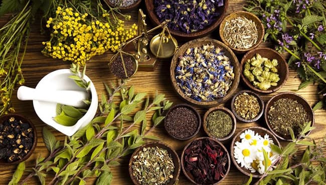 Labcos cung cấp nguyên liệu gia công dầu gội thiên nhiên chất lượng cao.